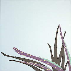 Aloe vera 60x60cm Acryl auf Canvas 1500.-